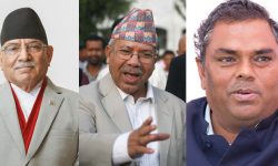 तीन दलको बैठक निष्कर्षविहीन