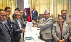 राष्ट्रिय सभा उपाध्यक्षमा अर्याल निर्विरोध निर्वाचित हुँदै