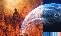 जलवायु परिवर्तनको असर