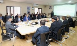 लगानी बोर्डअन्तर्गतका ११ विदेशी लगानीकर्ता कम्पनीसँग प्रधानमन्त्रीको छलफल