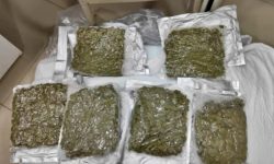 अमेरिकाबाट पार्सल आयो सात किलो गाँजा, भारतीयसहित तीन समातिए