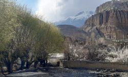 कोरला जाने मार्ग छुक्साङ !