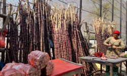 उखुको व्यापार