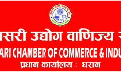 ‘कोसी प्रदेशमा लगानी भित्र्याउन प्रयासरत छौँ’