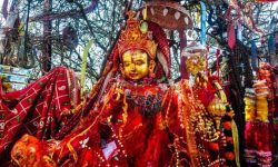 पाथीभरामा बलि प्रथा घट्दै, वन्यजन्तुको संरक्षणमा सहयोग