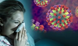 बढ्दोछ एच थ्री एन टु को प्रकोप