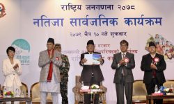 घरेलु उद्योगमा बागमतीको हिस्सा माथि, सबैभन्दा कमजोर कर्णाली