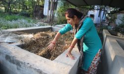 गड्यौलाको मल उत्पादन गरेर मनग्य आम्दानी