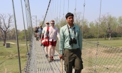 निकुञ्ज घुमेर फर्किदै पर्यटक