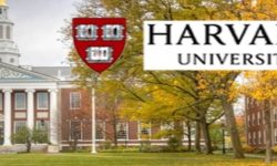 यी कामले सबैभन्दा धेरै दुखी तुुल्याउँछ