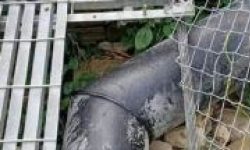 पुल मर्मत नहुँदा दुर्घटनाको जोखिम