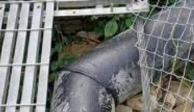 पुल मर्मत नहुँदा दुर्घटनाको जोखिम