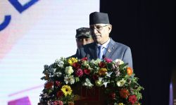 नेपाल पर्यटन तथा होटल व्यवस्थापन प्रतिष्ठानलाई आवश्यक पर्ने ऐन बनाउन निर्देशन