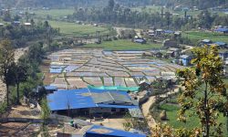 सुकाइएको अदुवा र बेसार