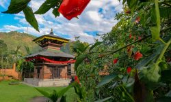 शुक्लेश्वर महादेवको मन्दिर !