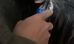 मुस्ताङी च्याङ्ग्राको भुवा संकलन