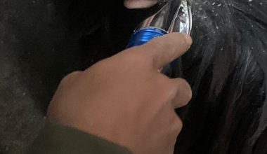 मुस्ताङी च्याङ्ग्राको भुवा संकलन