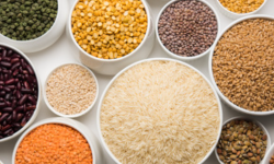 सोमालियाका ५० लाख नागरिक खाद्य सङ्कटमा