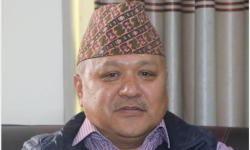 बृहत्तर हितलाई ध्यान दिएर पार्टीले निर्णय गर्छ : प्रवक्ता श्रेष्ठ