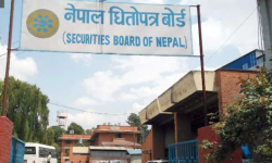 मार्जिन कारोबार सुविधाका लागि ८७ कम्पनी योग्य