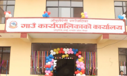 आजदेखि आँबुखैरेनीमा आलु मेला सुरु