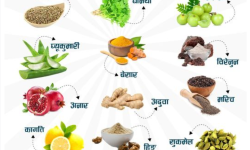 पाचन शक्ति बलियो बनाउन प्राकृतिक जडिबूटि