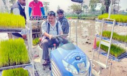 यान्त्रीकरणबाट धान रोपाइँ