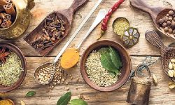 आयुर्वेदिक औषधालयमा बिरामीको चाप ह्वात्तै बढ्यो