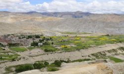 एक्यापको क्षेत्र स्थानीय तहले उपयोग गर्न पाउनुपर्ने माग