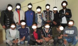 अवैध औषधी किनबेचमा संलग्न १४ जना पक्राउ