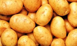 स्वादका लागि चर्चित बागलुङको आलु