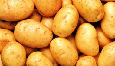 आलुले बजार र मूल्य नपाउँदा किसान मर्कामा