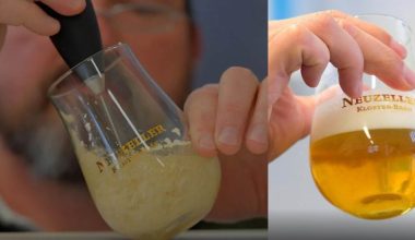 बियर अब पाउडर फर्ममा