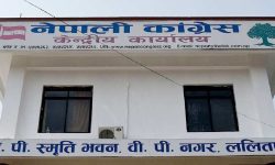 कांग्रेस कार्यसम्पादन समितिको बैठक चैत १ गते