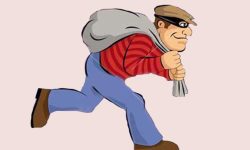 १० लाख रूपैयाँ बराबरको धनमाल चोरी