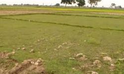 दुई करोडको जग्गादान