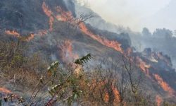 तनहुँ डढेलोको उच्च जोखिममा