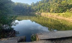 आन्तरिक पर्यटक तान्दै चरिङ्गे दह