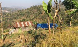 गाउँ रित्तिए, बजार भरिए