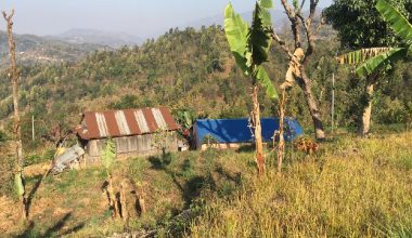 गाउँ रित्तिए, बजार भरिए