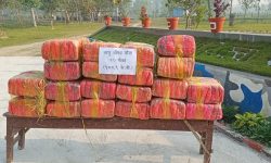 मलंगवाबाट १ सय ८८ केजी गाँजा बरामद