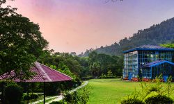 गोदावरी राष्ट्रिय वनस्पति उद्यानको आम्दानी बढ्यो