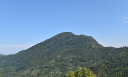 पर्यटक पर्खिरहेको हाँडिकोट