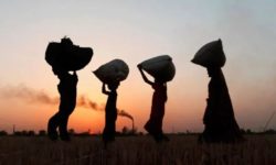 मुक्तिको घोषणा भयो तर पीडाबाट मुक्ति पाइएन