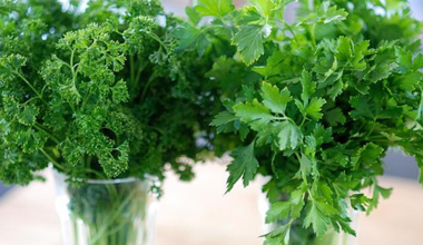 धनियाँ बेचेर वार्षिक तीन लाख