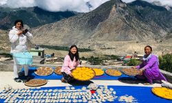 मुस्ताङको झिलिङ्गा र खुर्पानीको सुकुटी