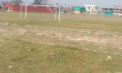 अलपत्र कभर्ड हल