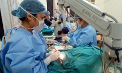 ताप्लेजुङको फक्ताङलुङमा निःशुल्क आँखा शिविर