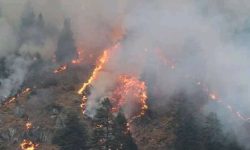 खोटाङका २ सामुदायिक बनमा भिषण आगलागी