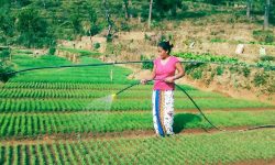 कृषि गाउँकी सङ्घर्षशील लक्ष्मी